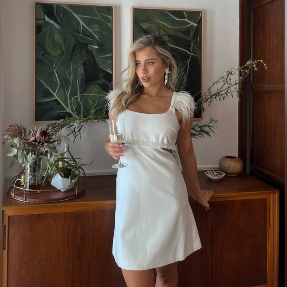 LIKELY Mini Taliah Dress - Size 6 - Picture 2 of 10